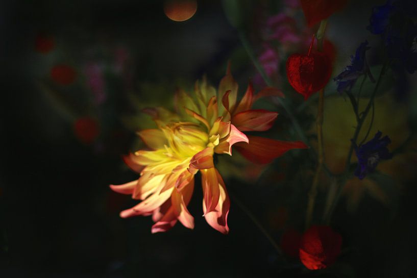 Herfst bloemen nacht van Marianna Pobedimova