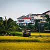 Kontrast zwischen Landwirtschaft und Urbanisierung von Frank Photos