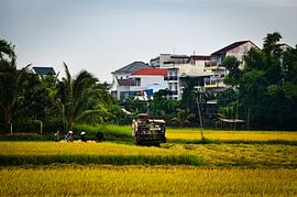 The contrast between agriculture and urbanisation by Frank Photos