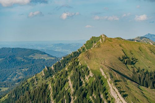 Nagelfluh-rots met uitzicht op het Allgäuer Alpenlandschap