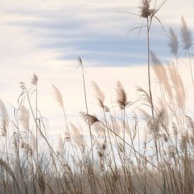 Wuivend riet in de Ebro Delta van Truus Nijland