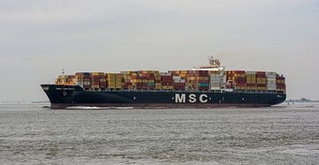 Containerschip varend op de Westerschelde naar Antwerpen. van scheepskijkerhavenfotografie