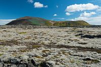 typisch landschap van het zuiden van IJsland