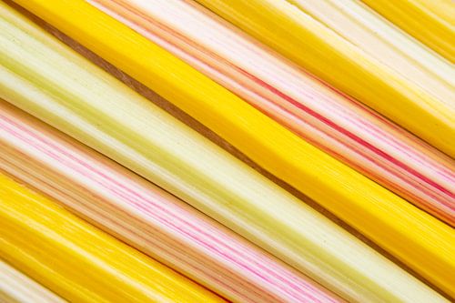 Diagonales Muster von Regeboog-Mangold