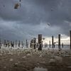 Palendorp Petten by Johan Mooibroek