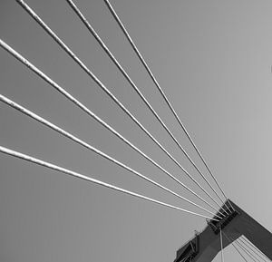 Le pont Willems en noir et blanc