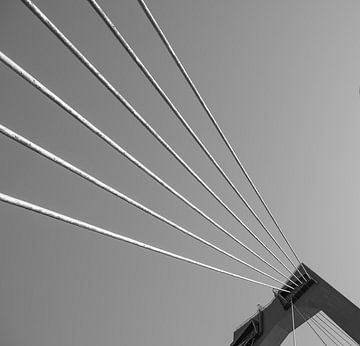 De Willemsbrug in zwart-wit van Dirk Jan Kralt