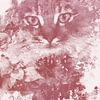 Chat / Cat - illustration numérique en couleur rouge rouille sur MadameRuiz