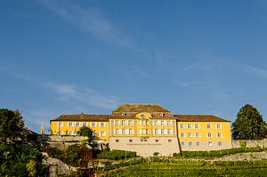 Fassade Staatsweingut Meersburg am Bodensee in Deutschland mit Weinberg