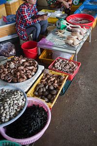Meeresfrüchte und Hühnchen - Markt auf Con Son (Vietnam)