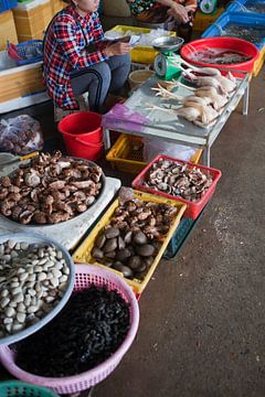 Zeevruchten- en kippenmarkt op Con Son (Vietnam) van t.ART