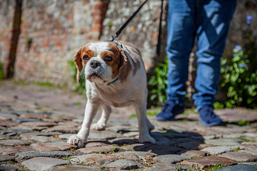 Quincy