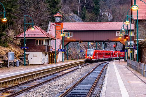 Volle kracht vooruit met de speciale trein "Rodelblitz" bij Schmalkalden - Thüringen - Duitsland