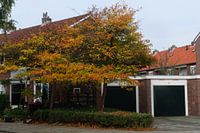 herfst in Zaandijk