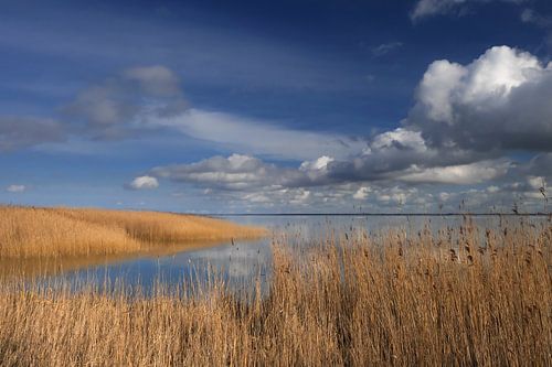 Saaler Bodden bei Wustrow auf dem Darß 2