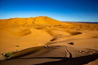 Sahara van Natuur aan de muur thumbnail