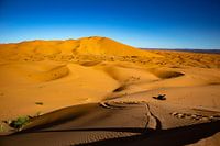 Sahara