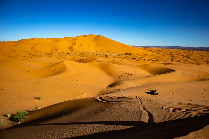 Sahara van Natuur aan de muur