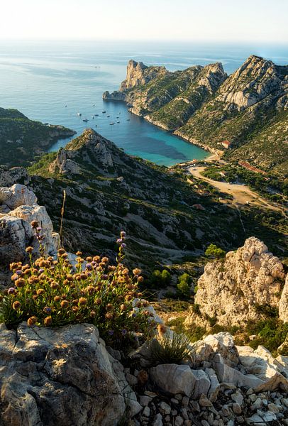 Calanque de Sormiou in the Calanque National Park in France in summer. by Daniel Pahmeier
