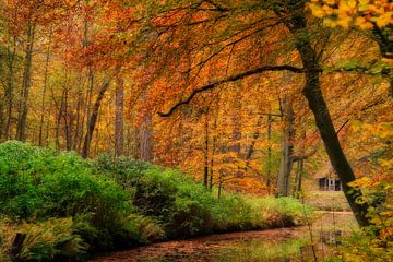 Herfstkleuren op landgoed Elswout van KCleBlanc Photography