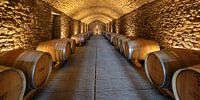 Wine cellar in Tuscany by Markus Lange thumbnail