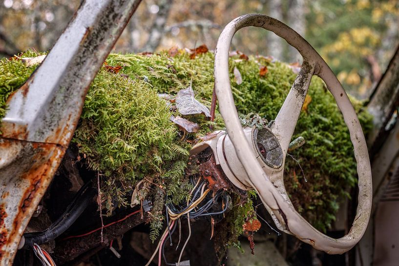 Rostige Hinterlassenschaften im Wald - Autofriedhof in Schweden von Gentleman of Decay