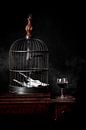 Stillleben Wein und Käfig von Eddy 't Jong Miniaturansicht
