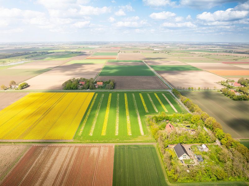 Farbkleckse im Nordostpolder von Nederlandschap