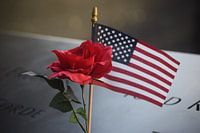 USA, NY, Amerikaanse vlag