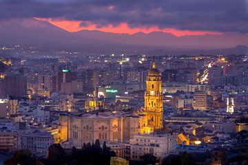 Kathedraal van Malaga von Stefania van Lieshout