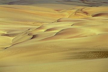 Skeleton Coast Park, Woestijn, Namibië, Afrika van Walter G. Allgöwer