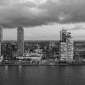 Rotterdam View 5