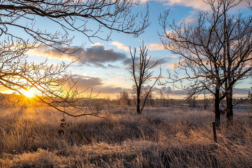 cold turnout by snippefotografie