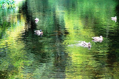 Pond in van Gogh colors