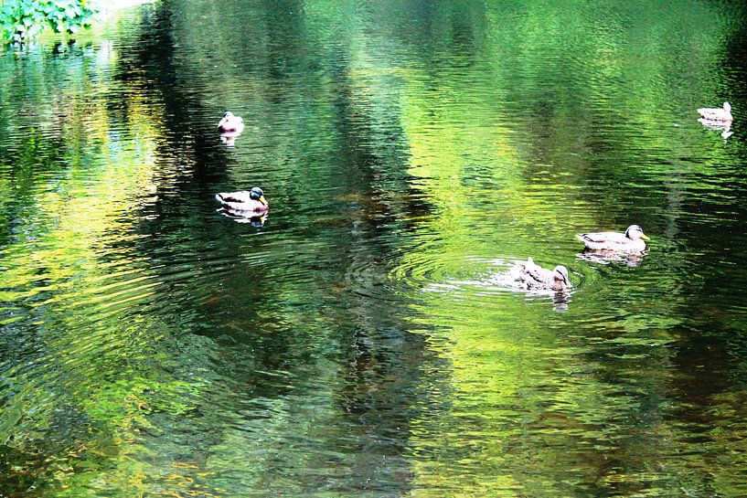 Pond in van Gogh colors by Yria Meijer