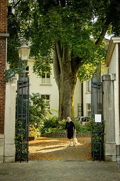 Would it be a Beguinage? by Mark Zoet
