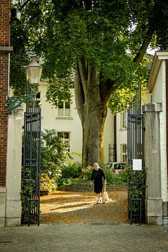 Zou het een Begijnhof zijn? van Mark Zoet