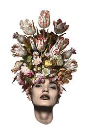 Tulip (white background) by toon joosen