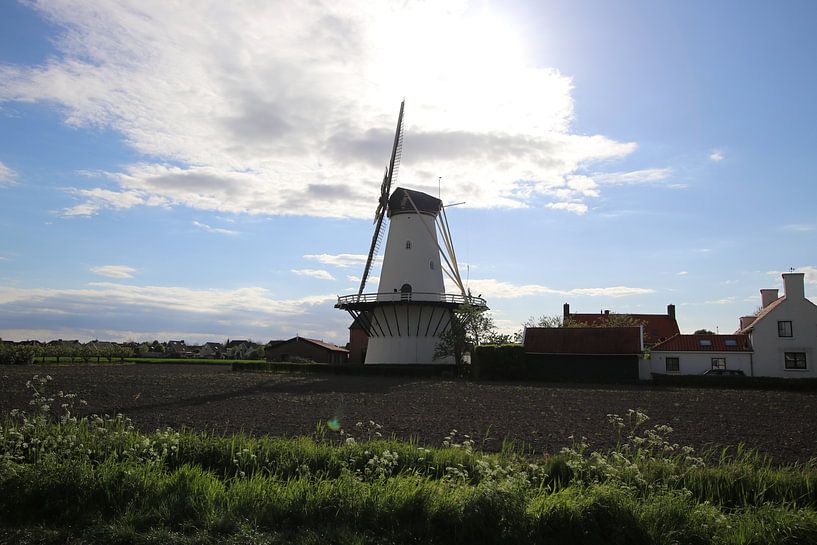 Le moulin de Koudekerke. Moulin à Lys par Wendy Hilberath