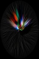 Hoe kleurrijk kan een veertje zijn, een stukje abstractie en expressionisme