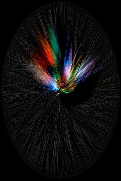 Comment une plume peut être colorée, une pièce d'abstraction et d'expressionnisme. par Shop bij Rob