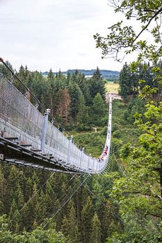 Hangeseilbrucke Geierlay