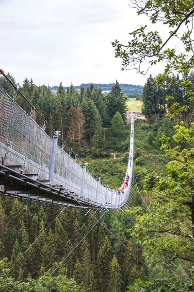 Hangeseilbrucke Geierlay von Neil Kampherbeek