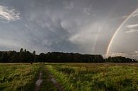 Regenboog en Mammatus by Paul Glastra Photography thumbnail