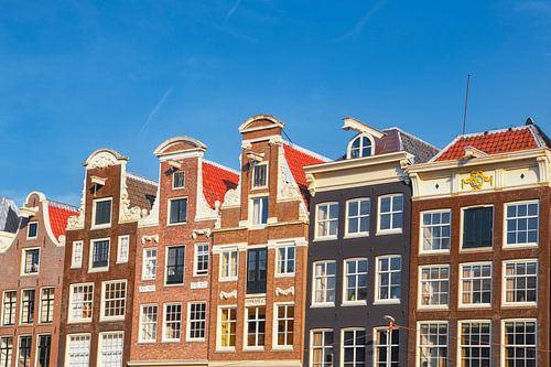 Amsterdamse grachtengordel in de zomer