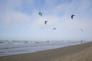 Kitesurfen au bord de la mer