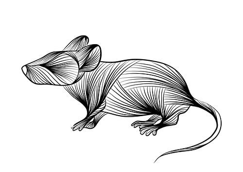 Poster souris - noir et blanc - ferme - crèche