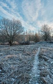 Schweden Landschaft 201 von Geertjan Plooijer
