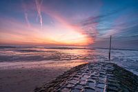 Lentedag op het wad