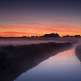 Wakker worden op een mooie morgen van Joost Wiltink